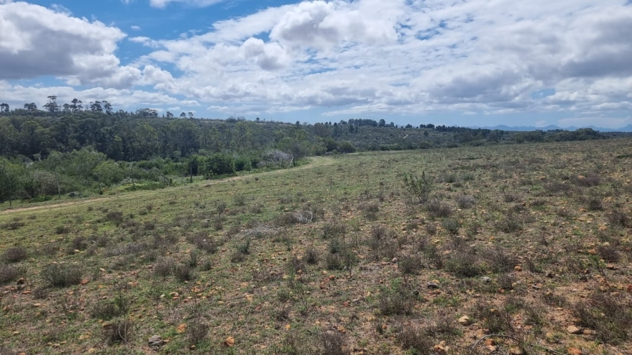 3 Bedroom Property for Sale in Albertinia Western Cape